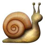 221
