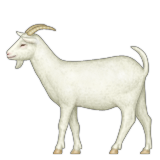 237