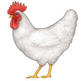 238