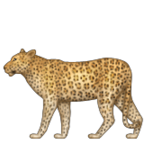 248