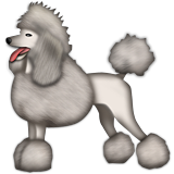 250