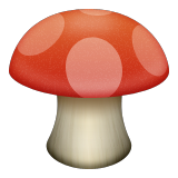 264