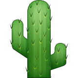 265