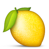 521
