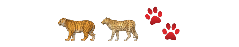 Animal Tracks