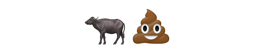 Bullshit