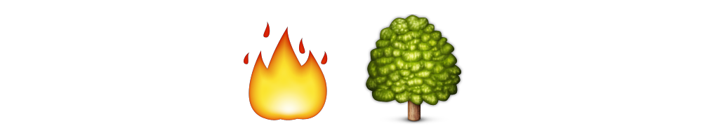 Burning Bush
