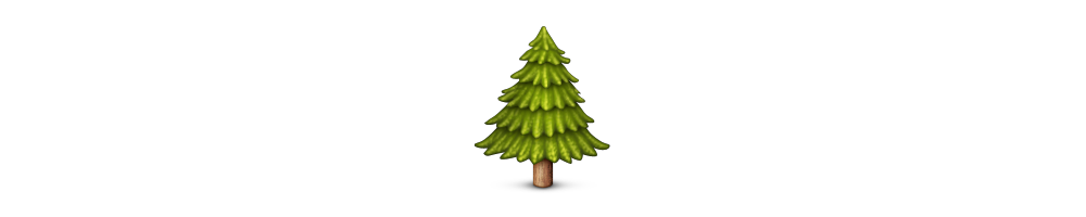 Cedar