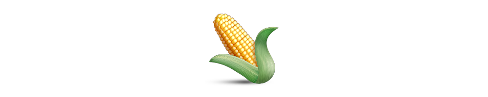 Corn