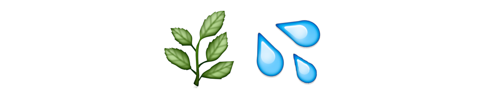 Dew