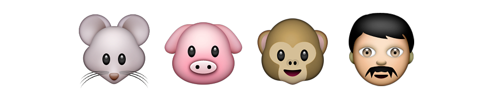 Evolution