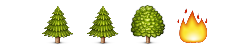 Forest Fire