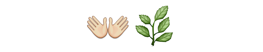 Palm Branch
