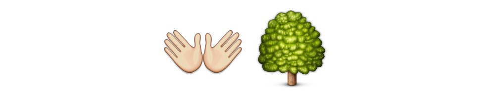 Palm Tree