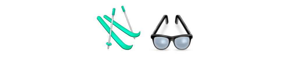 Ski Goggles