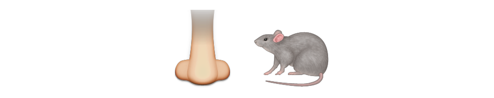 Smell A Rat