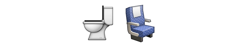 Toilet Seat